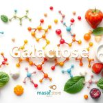 Galactose