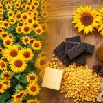 Sonnenblumenlecithin in veganen Produkten